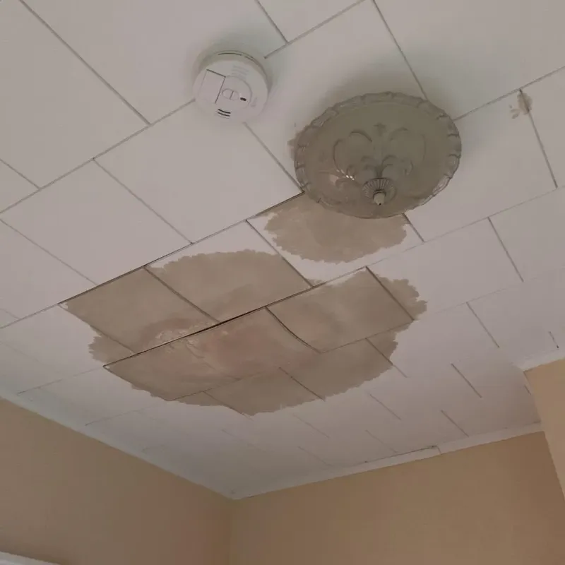 Ceiling Water Damage Repair in Mountain Home, NC
