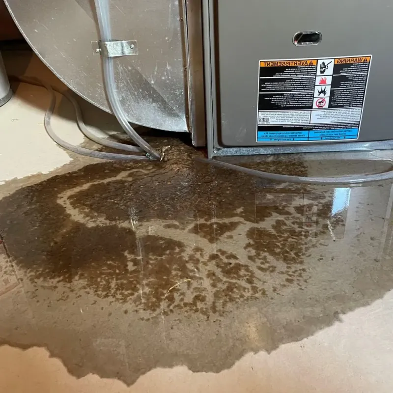 Pipe Burst and Leak Restoration in Mountain Home, NC